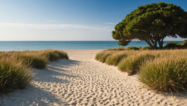 Vacances nature sur l'Île d'oléron : idées et conseils