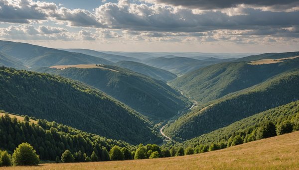 Les cévennes en lozère : top activités et panoramas époustouflants